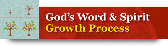 GROWTH PROCESS